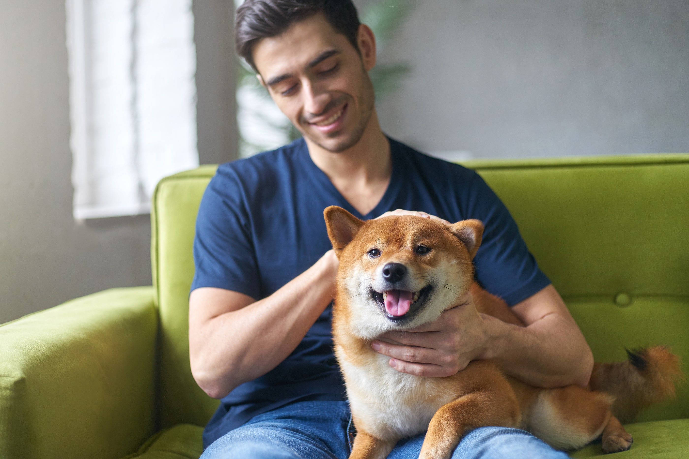 The Paw-sibilities of Pet-Friendly Rentals for Landlords